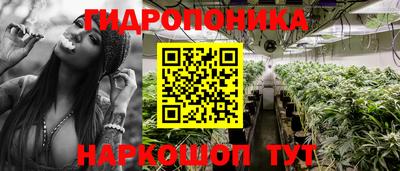 амф Новокубанск
