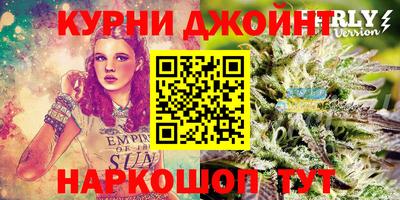 амф Новокубанск