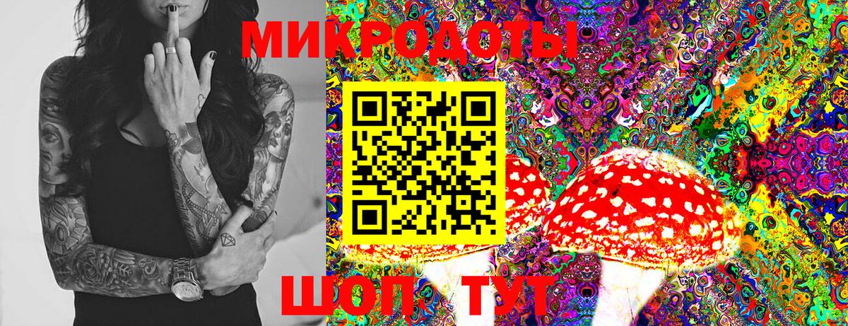Альметьевск  Галлюциногенные грибы Magic Shrooms  Псилоцибиновые грибы Psilocybine cubensis  Вход с VPN 