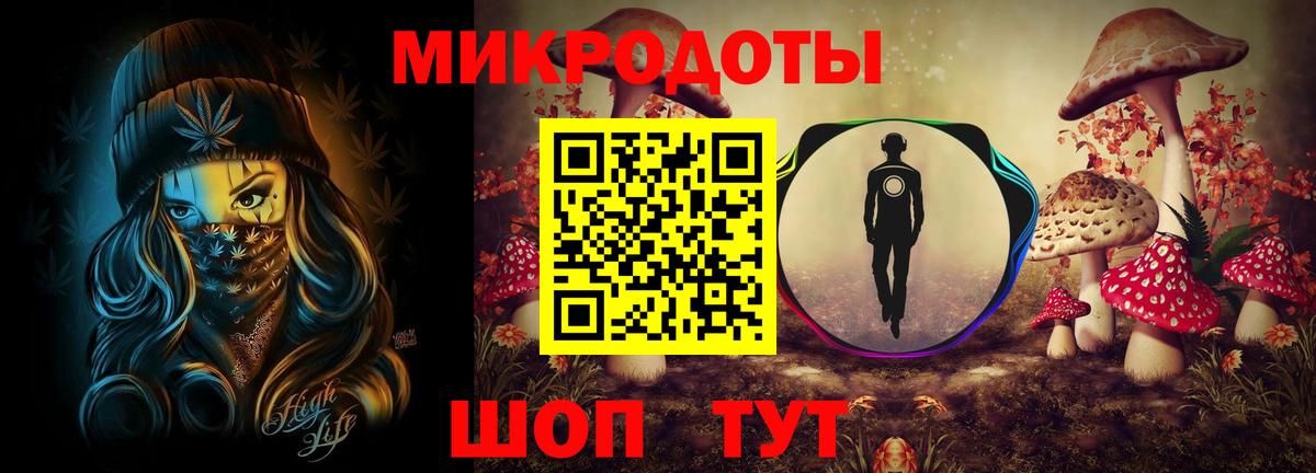 Псилоцибиновые грибы Psilocybe Альметьевск